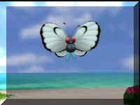 butter.JPG (25252 bytes)